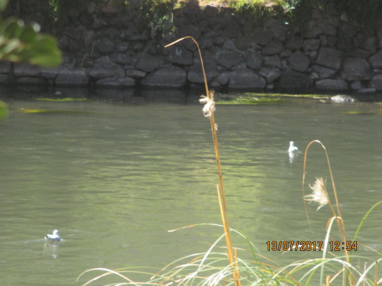 Wayqi Wasi Guest House ปีซัก ภายนอก รูปภาพ
